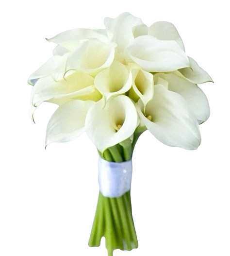 Featured plant